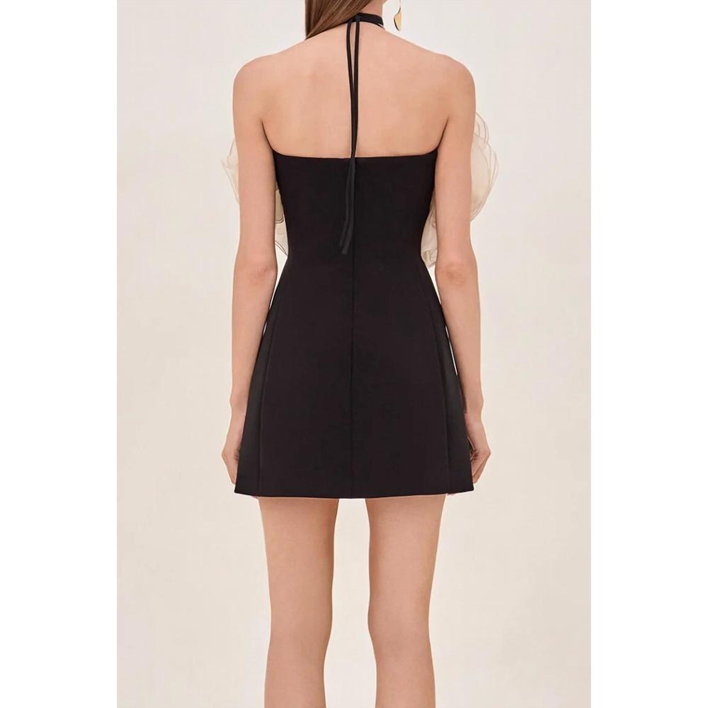 NEW ALEXIS aisha short dress in black ivory - Picture 2 of 3